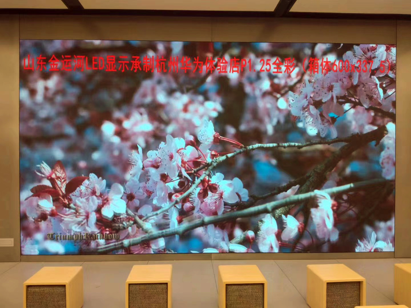 亚洲中文字幕无码一久久区