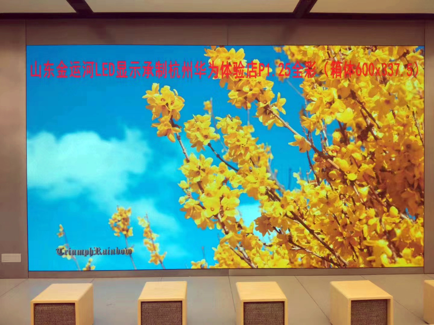 亚洲中文字幕无码一久久区