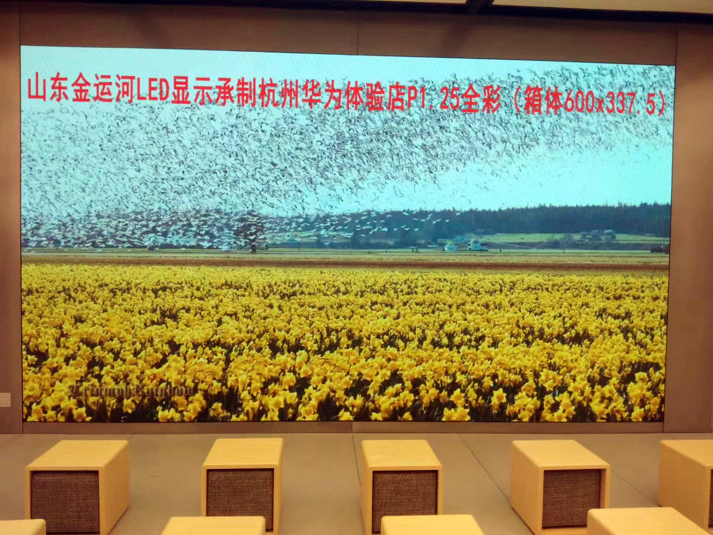 亚洲中文字幕无码一久久区