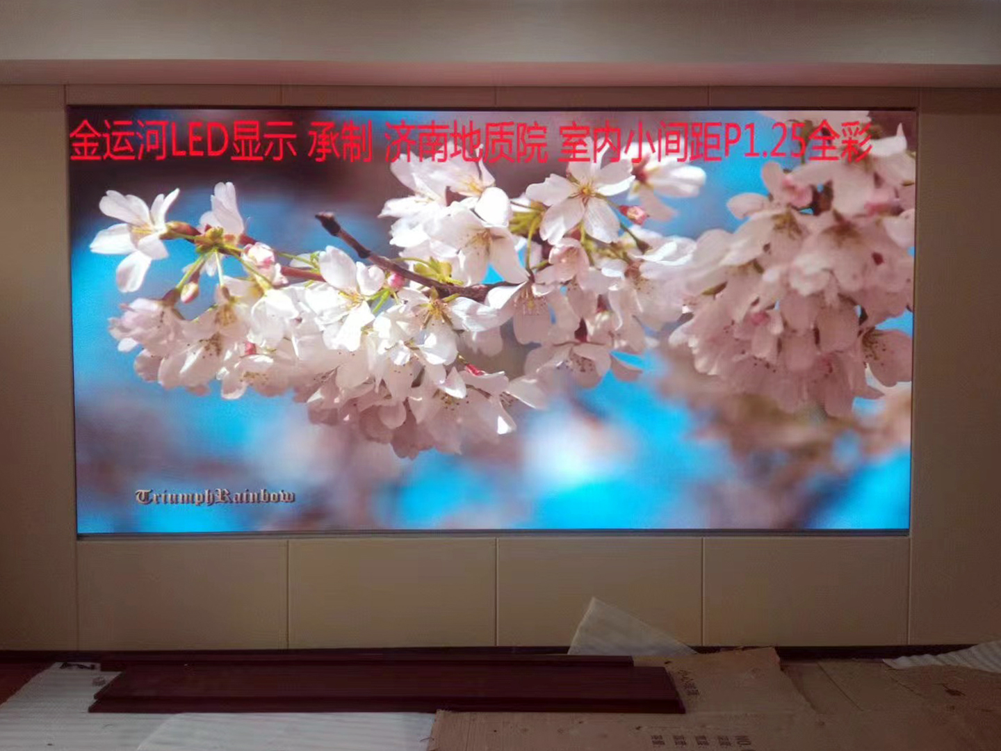 亚洲中文字幕无码一久久区