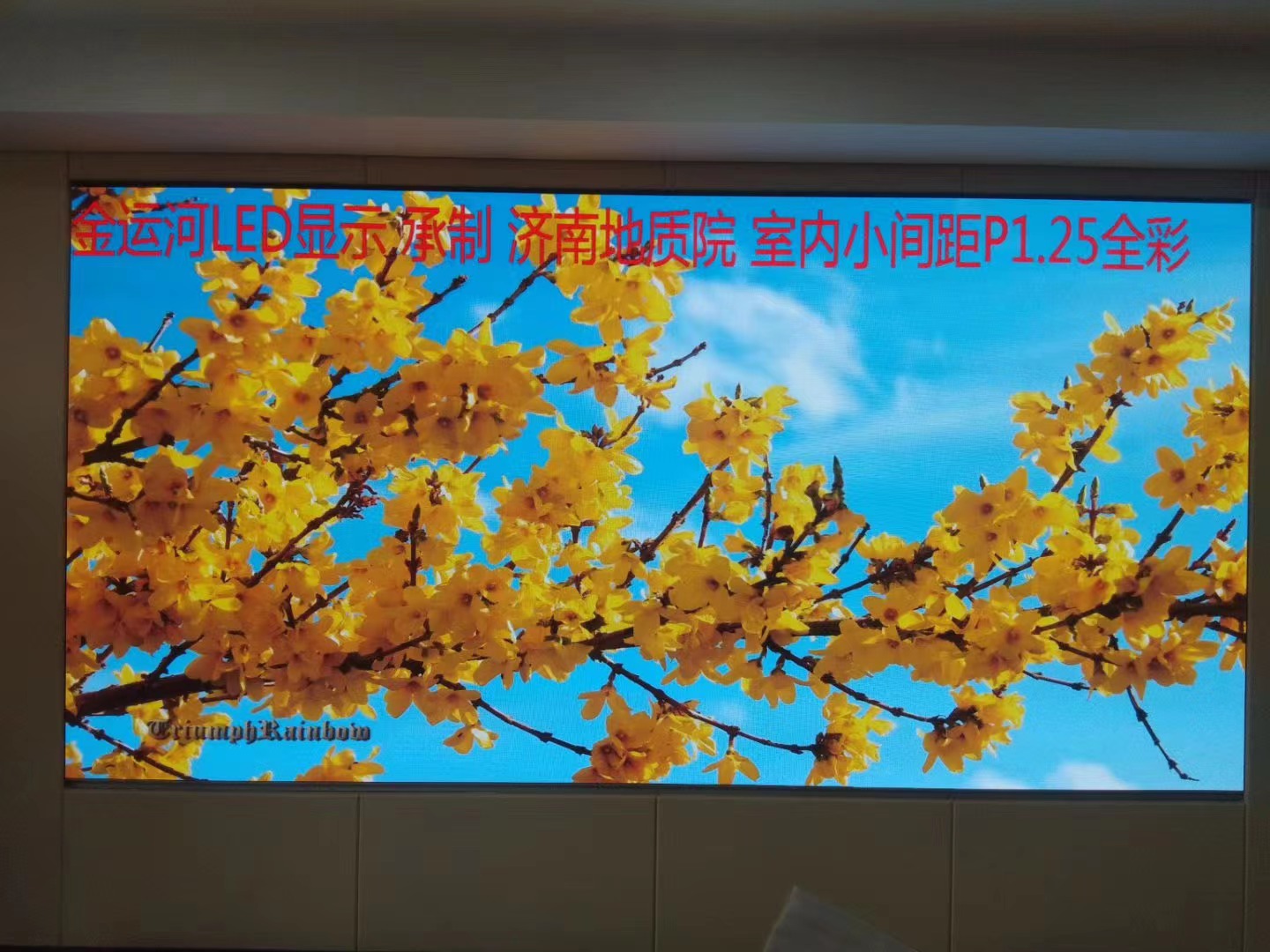 亚洲中文字幕无码一久久区