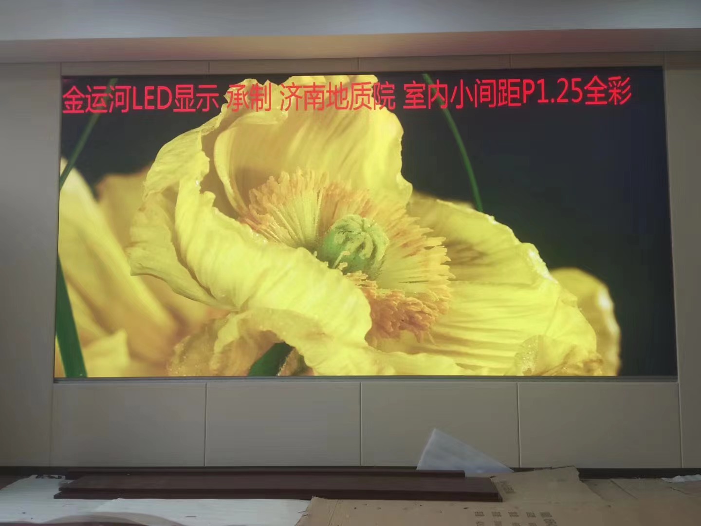 亚洲中文字幕无码一久久区