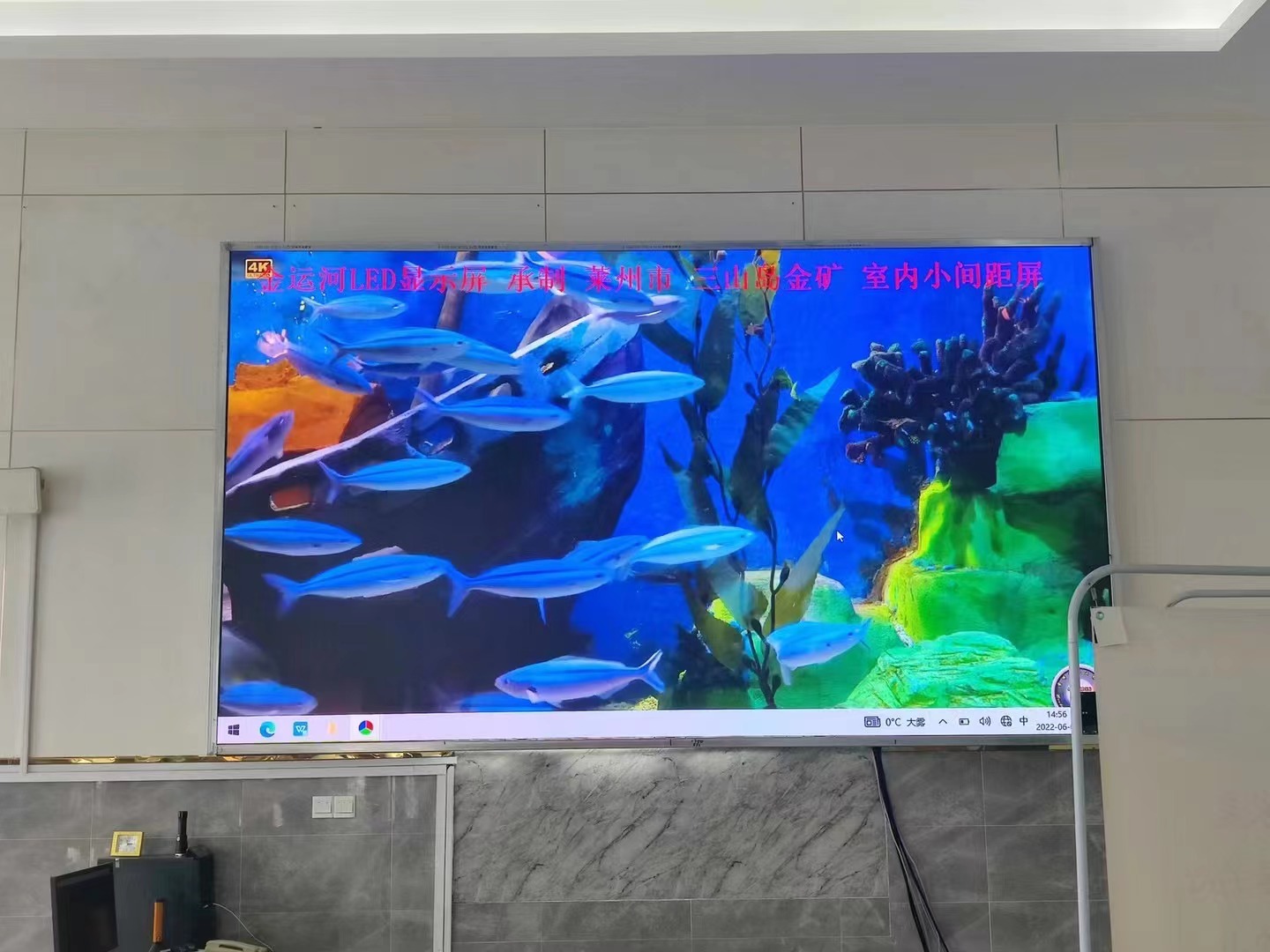 亚洲中文字幕无码一久久区