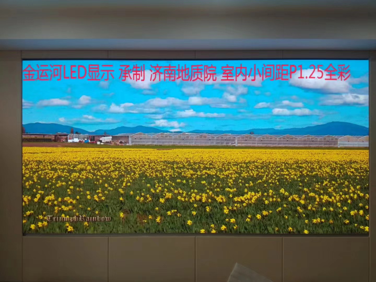 亚洲中文字幕无码一久久区