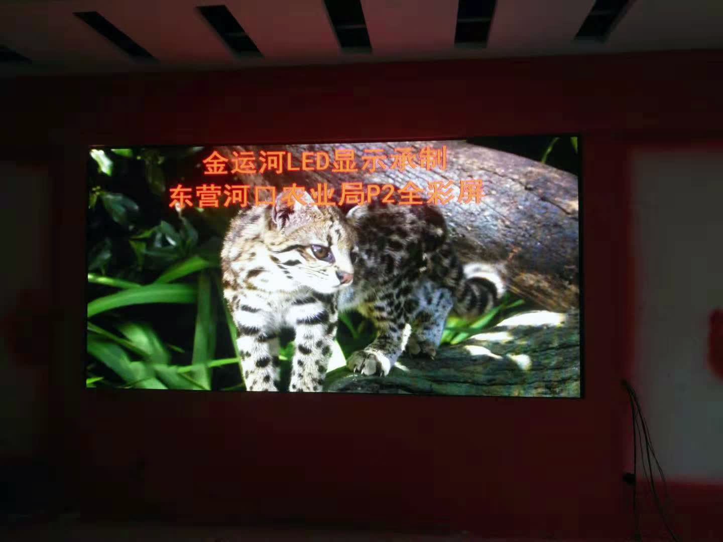 亚洲中文字幕无码一久久区