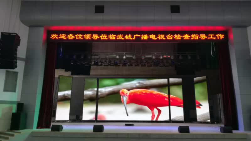 亚洲中文字幕无码一久久区