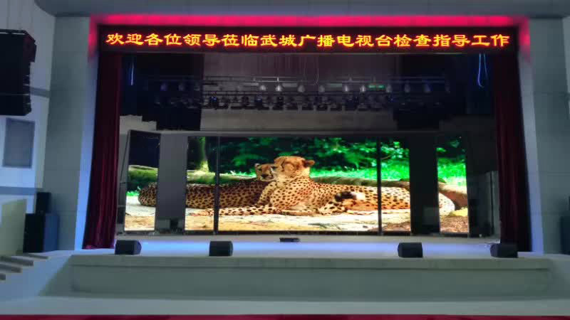 亚洲中文字幕无码一久久区