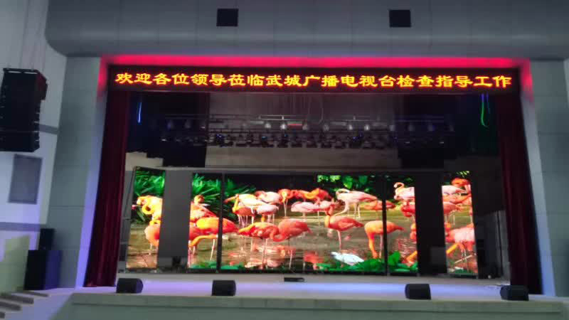 亚洲中文字幕无码一久久区