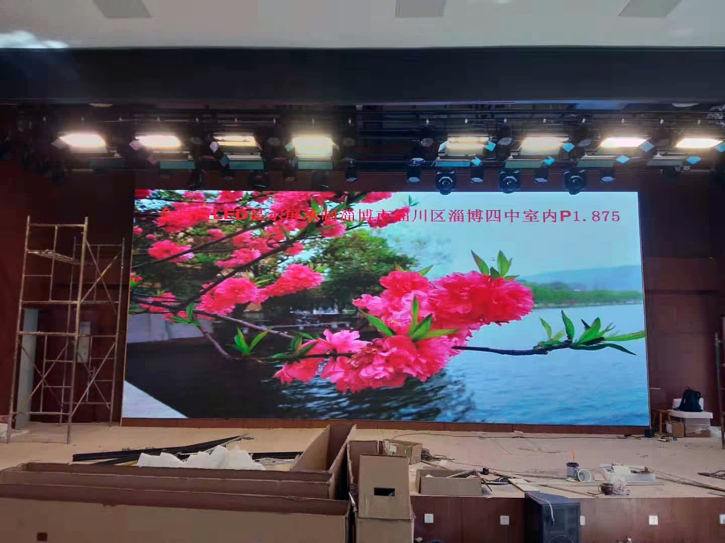 亚洲中文字幕无码一久久区