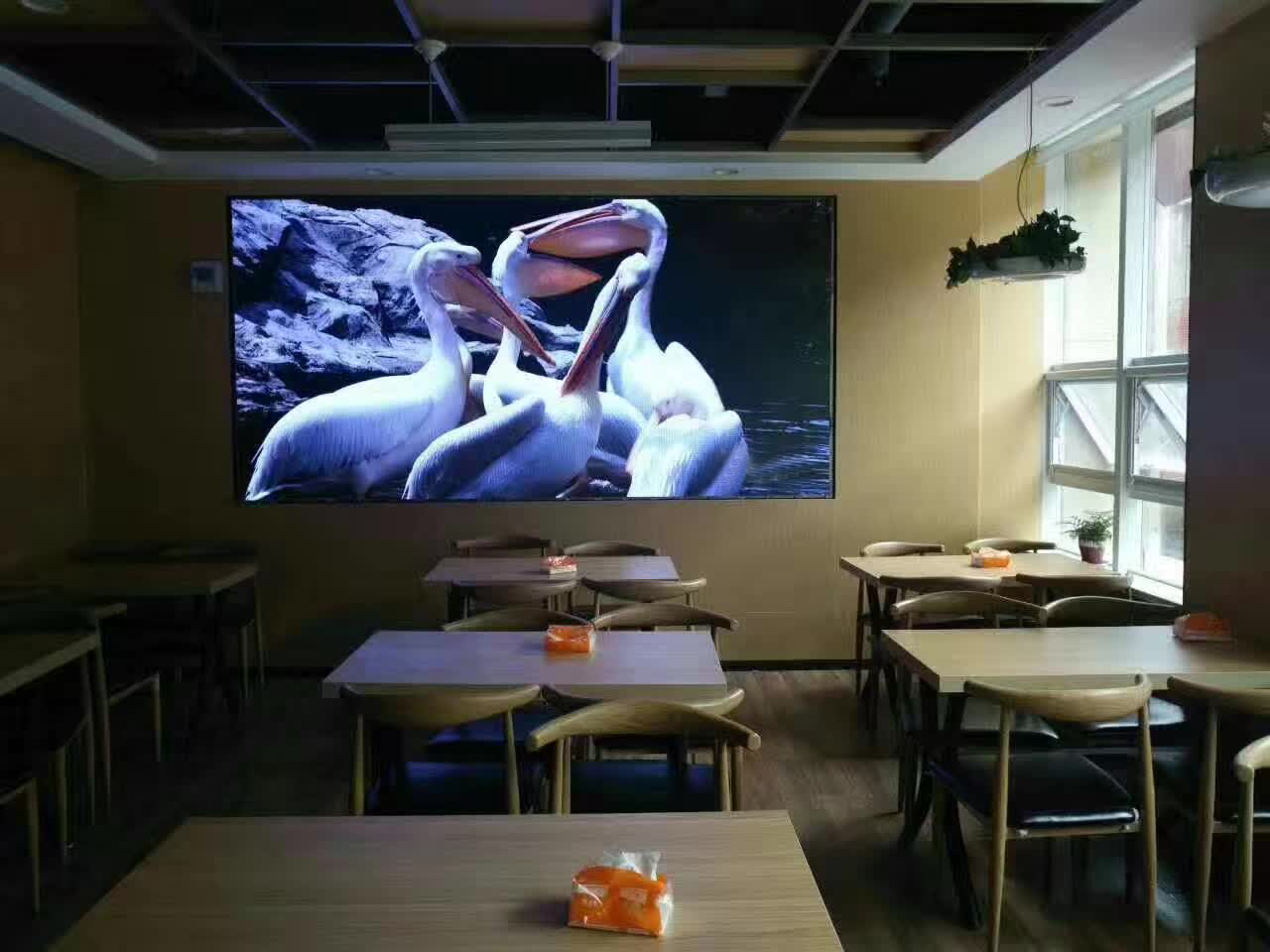 亚洲中文字幕无码一久久区