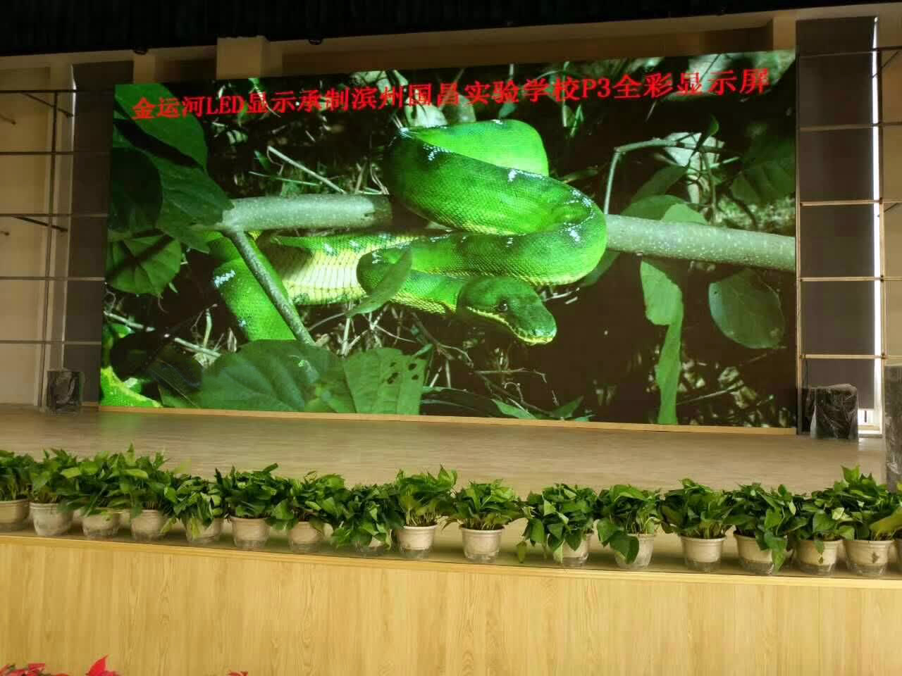 亚洲中文字幕无码一久久区