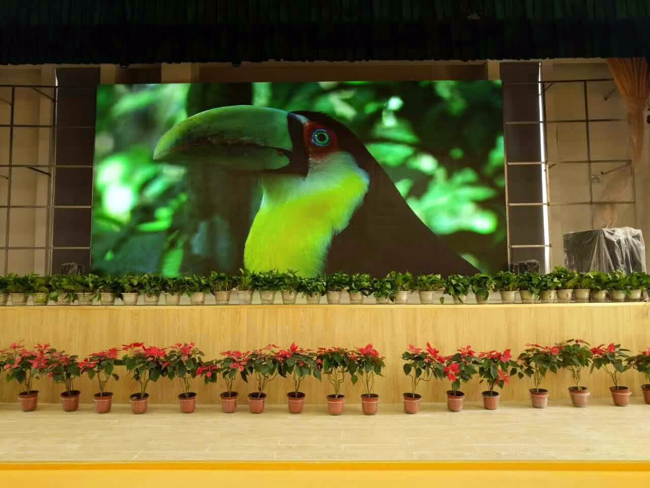 亚洲中文字幕无码一久久区