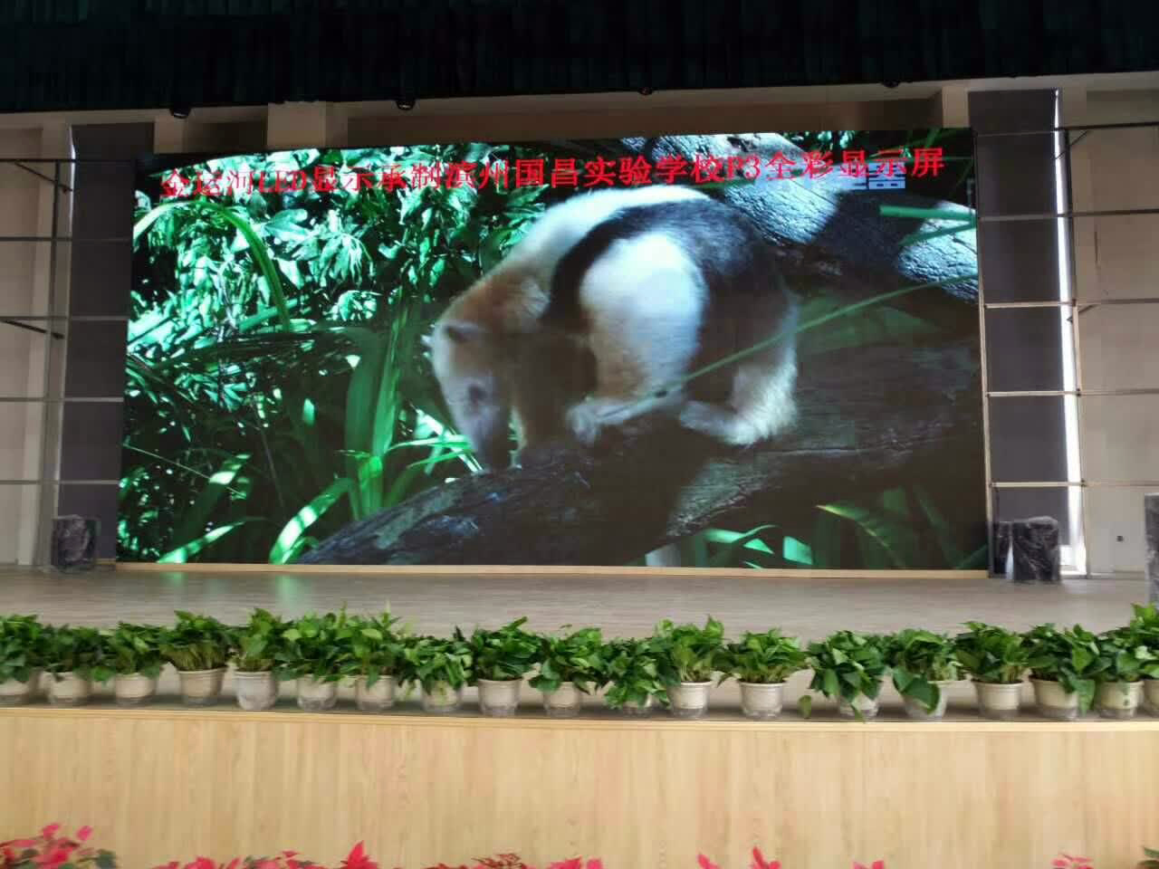 亚洲中文字幕无码一久久区