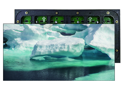 亚洲中文字幕无码一久久区