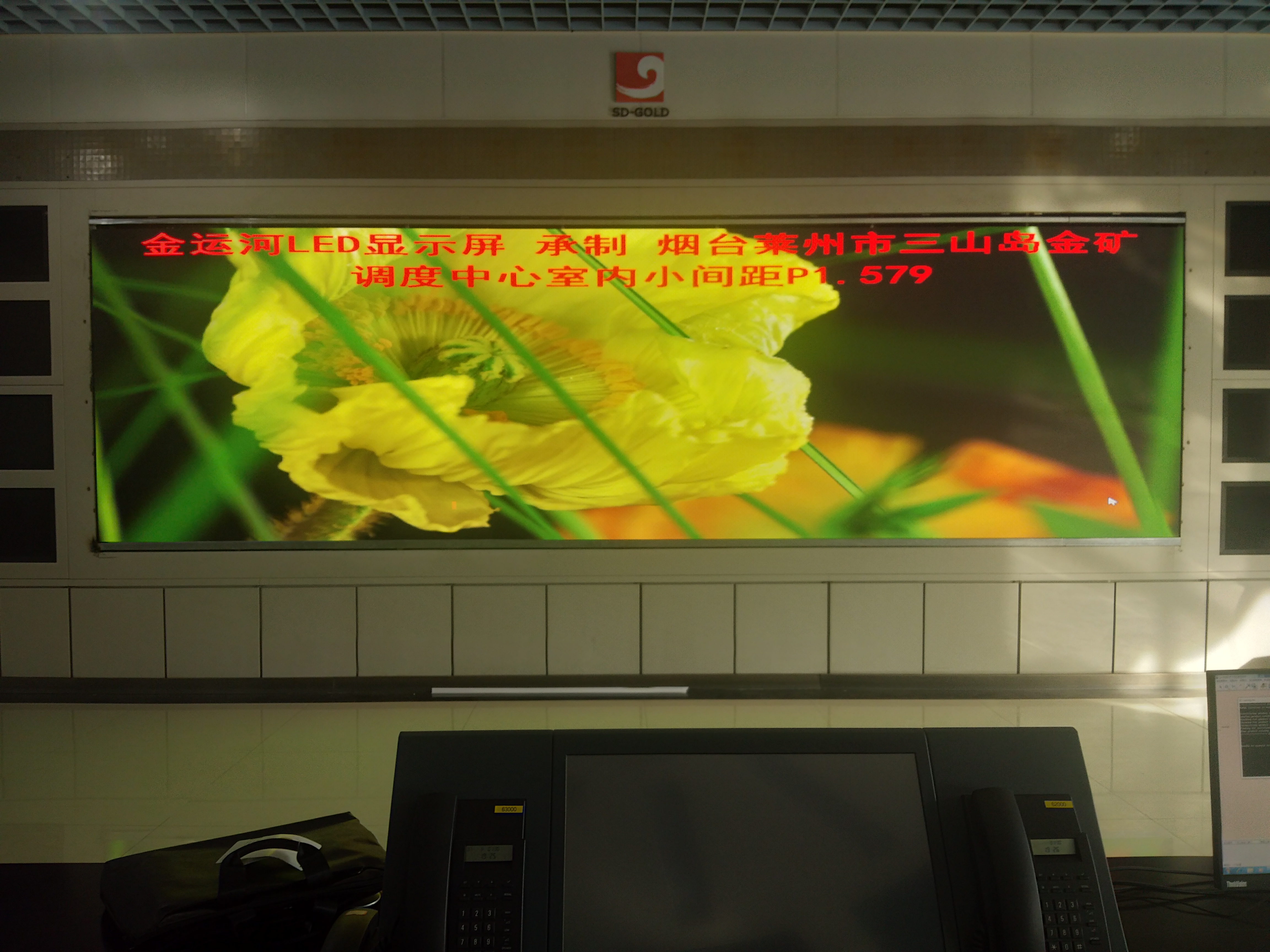 亚洲中文字幕无码一久久区