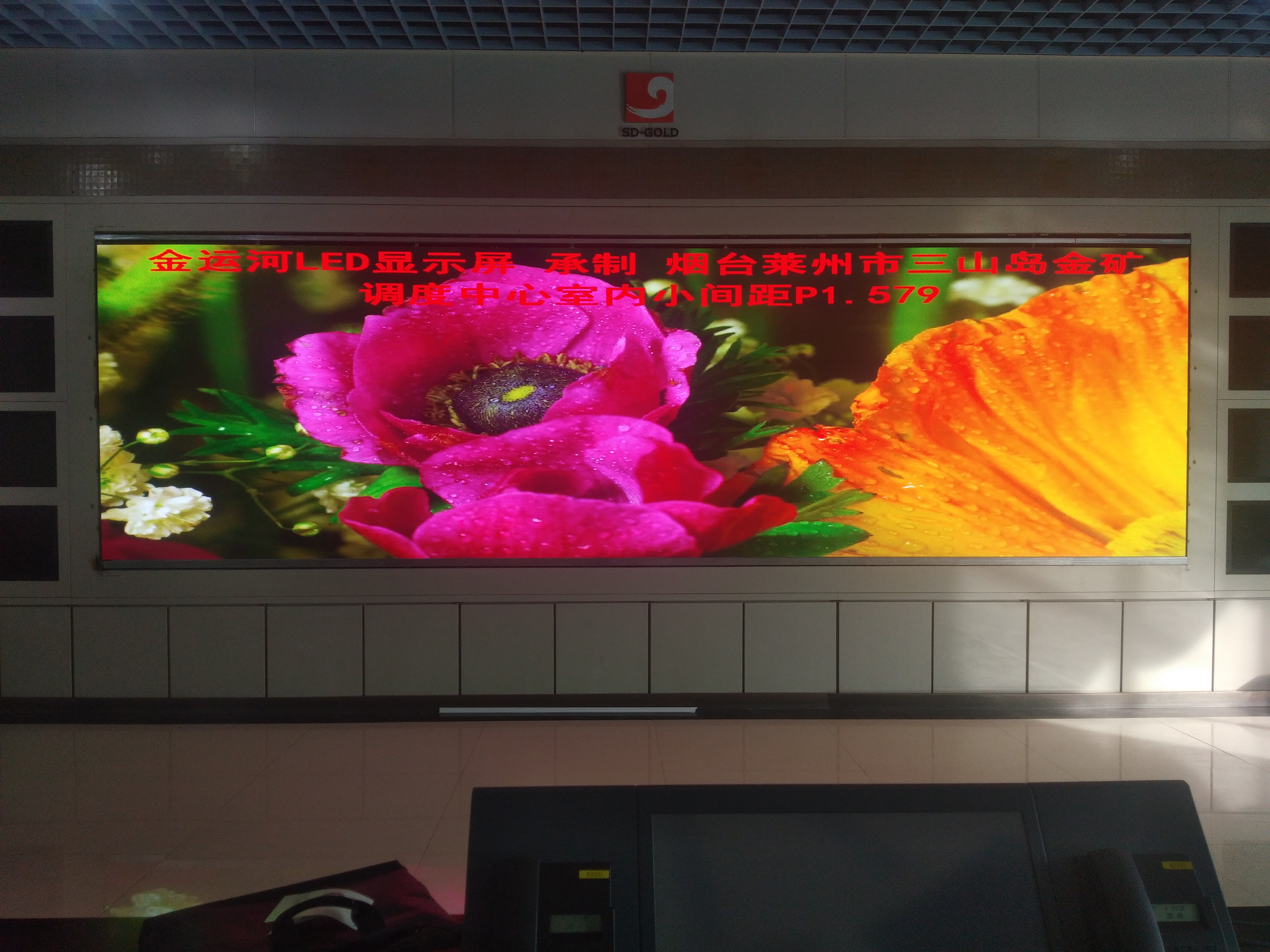 亚洲中文字幕无码一久久区