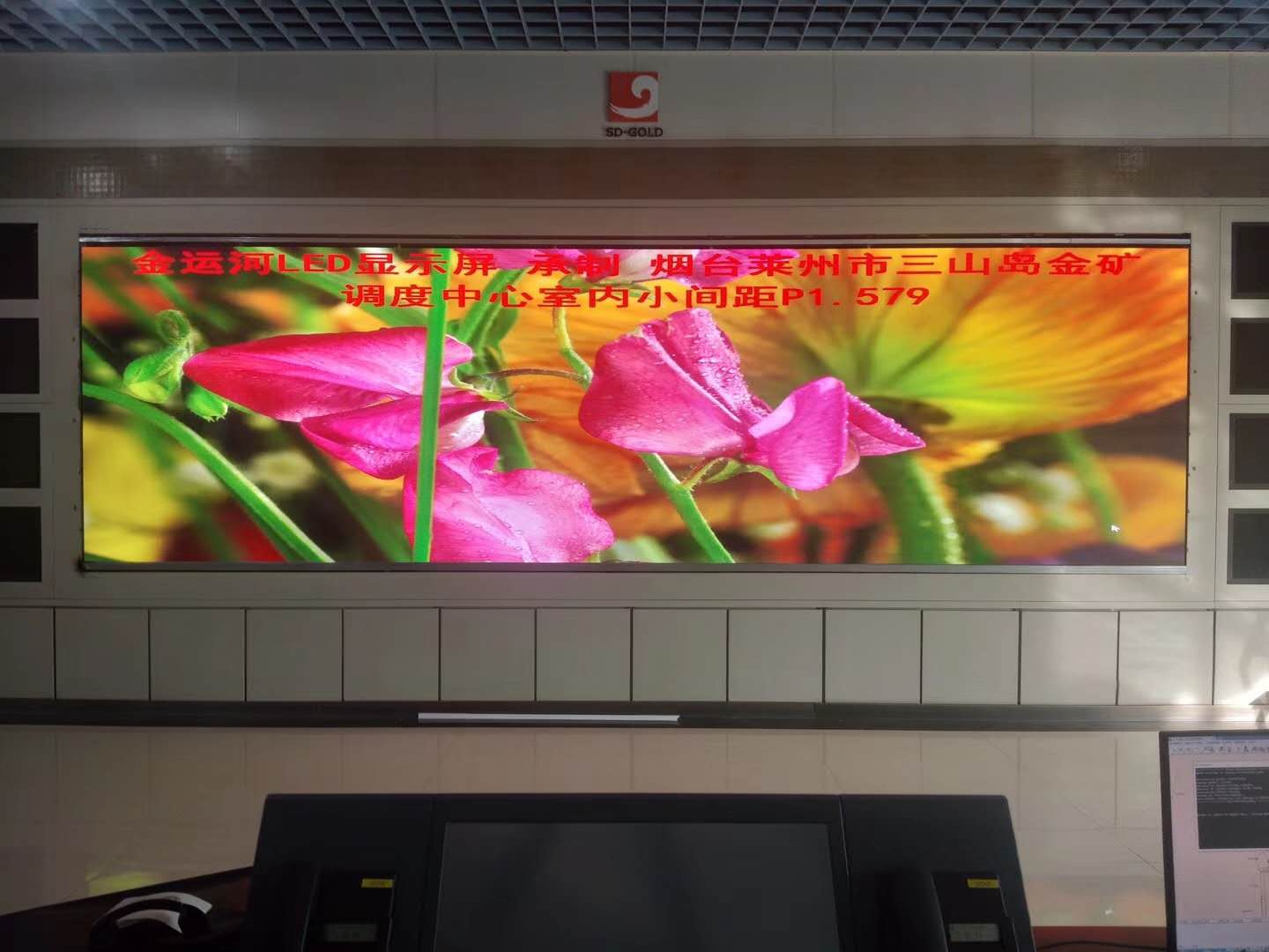 亚洲中文字幕无码一久久区